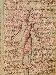 Anatomy of the Human Body, from 'Tractatus De Pestilencia'-M. Albik-Laminated Giclee Print