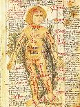 Anatomy of the Human Body, from 'Tractatus De Pestilencia'-M. Albik-Giclee Print
