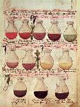 Series of Flagons for Urine Analysis, from "Tractatus De Pestilencia"-M. Albik-Framed Giclee Print