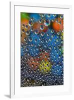 M and M's reflected in dew drops-Darrell Gulin-Framed Photographic Print