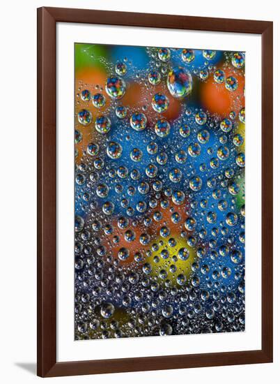 M and M's reflected in dew drops-Darrell Gulin-Framed Photographic Print