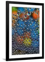 M and M's reflected in dew drops-Darrell Gulin-Framed Photographic Print