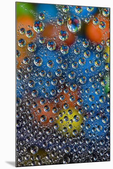 M and M's reflected in dew drops-Darrell Gulin-Mounted Photographic Print