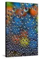 M and M's reflected in dew drops-Darrell Gulin-Stretched Canvas