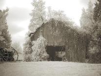 Barn 2-M.B. Phelps-Giclee Print