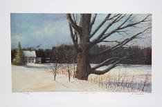Snow Shadows-M^ Barker-Collectable Print