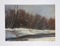 Snow Shadows-M^ Barker-Collectable Print