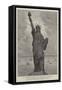 M Bartholdi's Statue of Liberty Illuminating the World, at the Entrance to the Harbour, New York-null-Framed Stretched Canvas