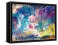 Framed Canvas