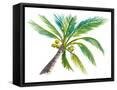 Framed Canvas