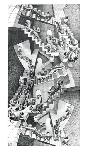 Waterfall-M^ C^ Escher-Art Print