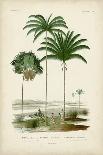 Antique Palm Collection VIII-M. Charles D'Orbigny-Framed Art Print