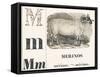 M for Merinos, 1850 (Engraving)-Louis Simon (1810-1870) Lassalle-Framed Stretched Canvas