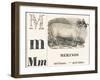 M for Merinos, 1850 (Engraving)-Louis Simon (1810-1870) Lassalle-Framed Giclee Print