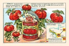 Tomate (Tomatoes)-M. Halle-Art Print