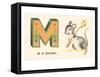 M is a Mouse-null-Framed Stretched Canvas