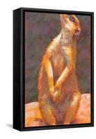 M is for Meerkat-Rita Kirkman-Framed Stretched Canvas