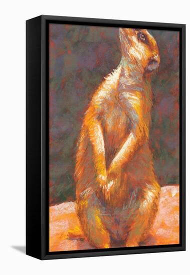 M is for Meerkat-Rita Kirkman-Framed Stretched Canvas