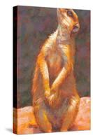 M is for Meerkat-Rita Kirkman-Stretched Canvas