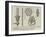 M Jablochkoff's Electric Light Apparatus-null-Framed Giclee Print