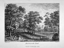 View of the Garden Front of Bradmore House, Hammersmith, London, C1800-M Merigot-Giclee Print