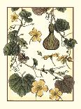 Hedera-M^ P^ Verneuil-Art Print