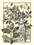 Oak Tree-M. P. Verneuil-Art Print