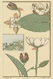 Arts and Crafts Gourd-M. P. Verneuil-Art Print