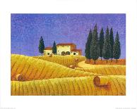 The Colours of Provence II-M^ Picard-Mounted Art Print