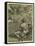 M. Pietro Aretino-Titian (Tiziano Vecelli)-Framed Stretched Canvas