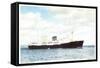 M.S. Midnatsol, Bergen Line, Dampfer in Fahrt-null-Framed Stretched Canvas