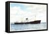 M.S. Midnatsol, Bergen Line, Dampfer in Fahrt-null-Framed Stretched Canvas