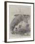 M Santos Dumont's Experiments at Monte Carlo-Henry Charles Seppings Wright-Framed Giclee Print