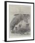 M Santos Dumont's Experiments at Monte Carlo-Henry Charles Seppings Wright-Framed Giclee Print