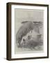 M Santos Dumont's Experiments at Monte Carlo-Henry Charles Seppings Wright-Framed Giclee Print