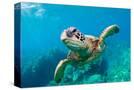 Stretched Canvas