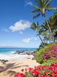 Tropical Beaches Color Photography Posters Prints Paintings Wall Art Allposters Com