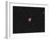 M1 Crab Nebula-rwittich-Framed Photographic Print