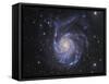 M101, the Pinwheel Galaxy in Ursa Major-Stocktrek Images-Framed Stretched Canvas