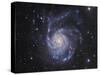 M101, the Pinwheel Galaxy in Ursa Major-Stocktrek Images-Stretched Canvas