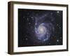 M101, the Pinwheel Galaxy in Ursa Major-Stocktrek Images-Framed Photographic Print