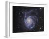 M101, the Pinwheel Galaxy in Ursa Major-Stocktrek Images-Framed Photographic Print