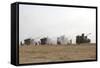 M109 Self-Propelled Howitzers Firing in the Negev Desert, Israel-Stocktrek Images-Framed Stretched Canvas