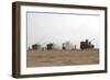 M109 Self-Propelled Howitzers Firing in the Negev Desert, Israel-Stocktrek Images-Framed Photographic Print