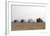 M109 Self-Propelled Howitzers Firing in the Negev Desert, Israel-Stocktrek Images-Framed Photographic Print