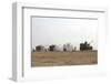 M109 Self-Propelled Howitzers Firing in the Negev Desert, Israel-Stocktrek Images-Framed Photographic Print