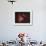 M17, the Omega Nebula-Stocktrek Images-Framed Photographic Print displayed on a wall