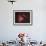 M17, the Omega Nebula-Stocktrek Images-Framed Photographic Print displayed on a wall