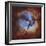 M20, the Trifid Nebula in Sagittarius-Stocktrek Images-Framed Photographic Print