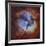 M20, the Trifid Nebula in Sagittarius-Stocktrek Images-Framed Photographic Print